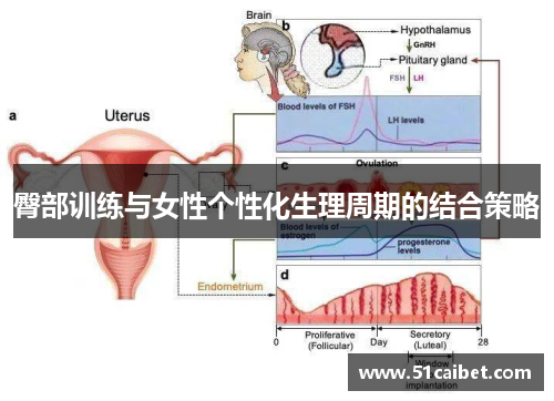 臀部训练与女性个性化生理周期的结合策略